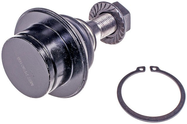 Suspension Ball Joint Dorman MAS BJ21025