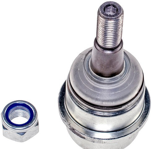 Suspension Ball Joint Dorman MAS BJ35026