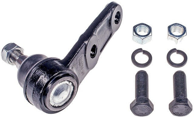 Suspension Ball Joint Dorman MAS BJ55005