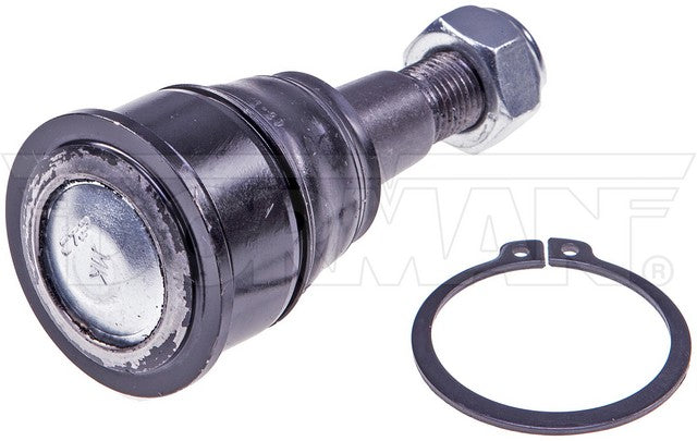 Suspension Ball Joint Dorman MAS BJ59395