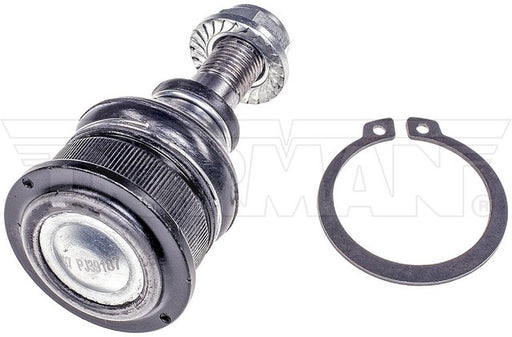 Suspension Ball Joint Dorman MAS BJ65006