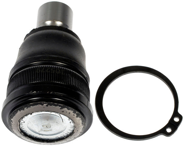 Suspension Ball Joint Dorman MAS BJ65295