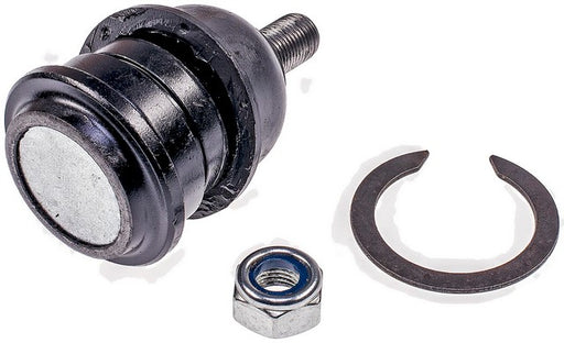 Suspension Ball Joint Dorman MAS BJ67145