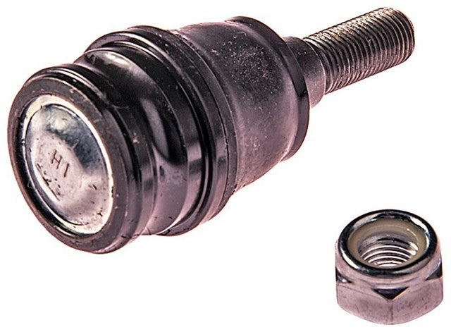 Suspension Ball Joint Dorman MAS BJ72095