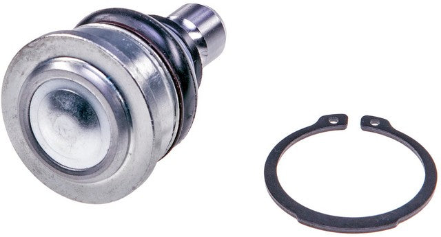 Suspension Ball Joint Dorman Premium Chassis BJ73155PR