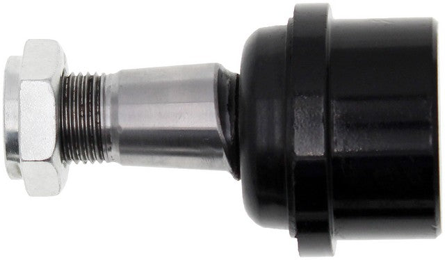 Alignment Caster / Camber Ball Joint Dorman MAS BJ81015