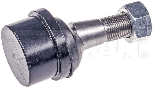 Suspension Ball Joint Dorman MAS BJ81025