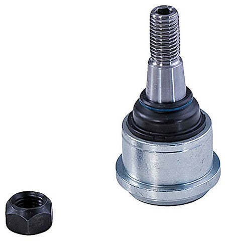Suspension Ball Joint Dorman MAS BJ81116