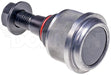 Suspension Ball Joint Dorman Premium Chassis BJ81116XL
