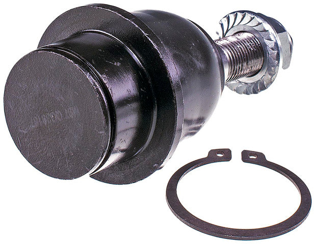 Suspension Ball Joint Dorman MAS BJ82495