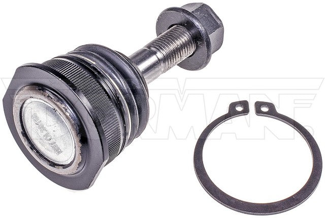 Suspension Ball Joint Dorman MAS BJ85096