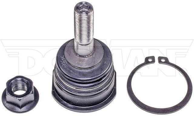 Suspension Ball Joint Dorman MAS BJ85096