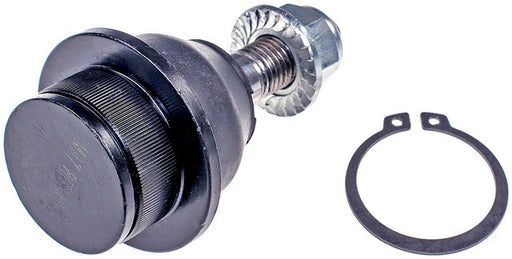 Suspension Ball Joint Dorman MAS BJ85845