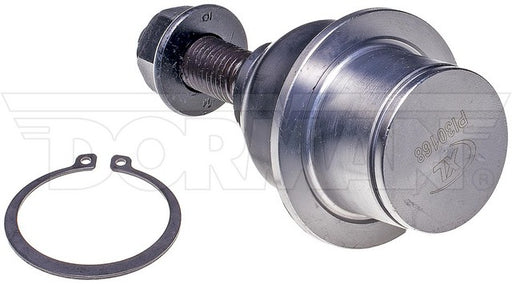 Suspension Ball Joint Dorman Premium Chassis BJ86065XL