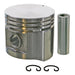 Engine Piston Set Sealed Power 1011P 80