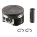 Engine Piston Set Sealed Power 13625CPA 1.00MM