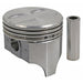 Engine Piston Set Sealed Power 295P 30