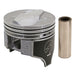Engine Piston Set Sealed Power 460CP 60