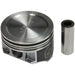 Engine Piston Set Sealed Power H1127CPA 1.00MM