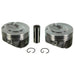 Engine Piston Set Sealed Power H1524CPLR .50MM