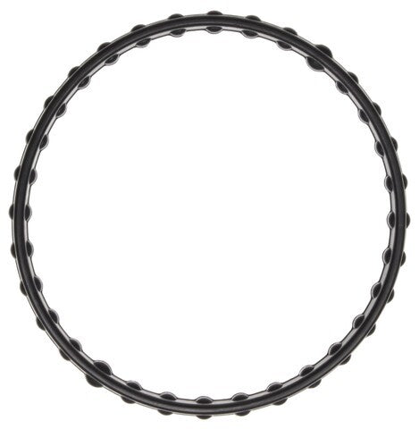 Engine Coolant Thermostat Seal MAHLE Clevite C32869