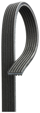 Serpentine Belt Gates DK060721