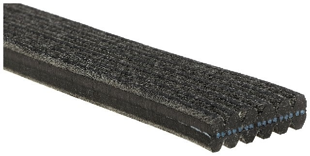 Serpentine Belt Gates DK060901
