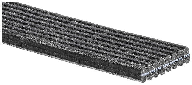Serpentine Belt Gates DK080562