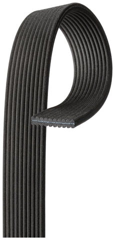 Serpentine Belt Gates DK100743
