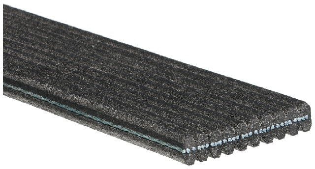 Serpentine Belt Gates DK100743