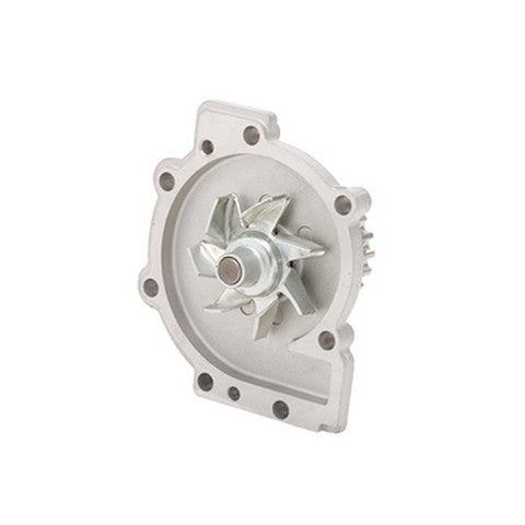 Engine Water Pump Dayco DP018