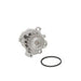 Engine Water Pump Dayco DP037