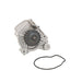 Engine Water Pump Dayco DP056