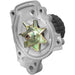 Engine Water Pump Dayco DP059