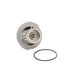 Engine Water Pump Dayco DP071