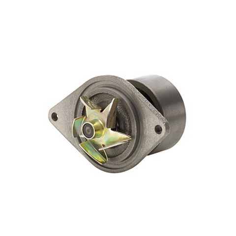 Engine Water Pump Dayco DP1000