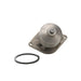 Engine Water Pump Dayco DP1000