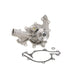 Engine Water Pump Dayco DP1001