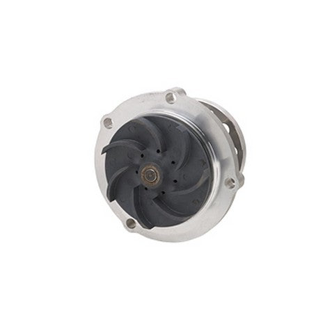 Engine Water Pump Dayco DP1002