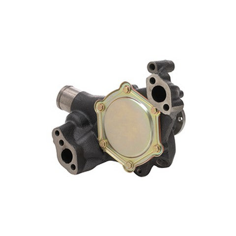 Engine Water Pump Dayco DP10031