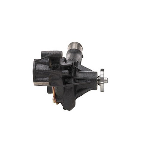 Engine Water Pump Dayco DP10031