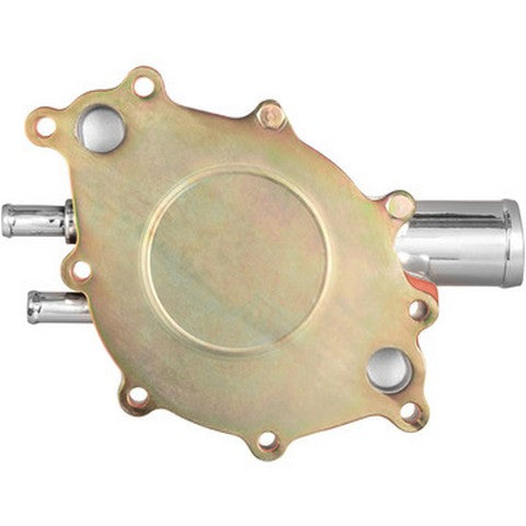 Engine Water Pump Dayco DP10081