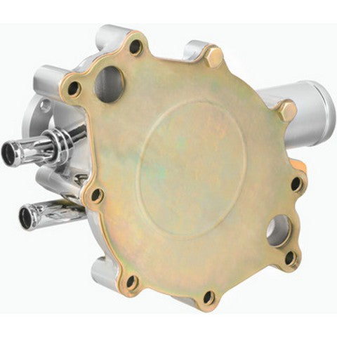 Engine Water Pump Dayco DP10081