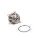 Engine Water Pump Dayco DP1010