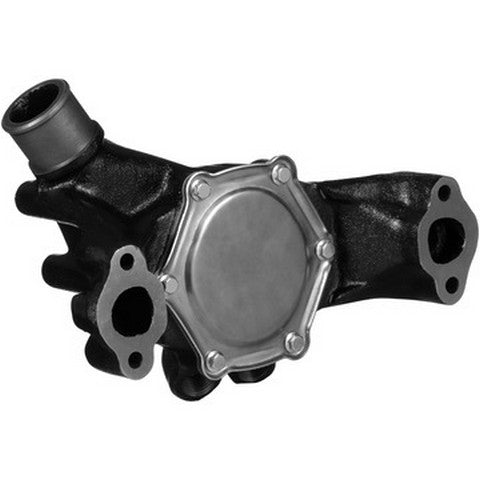 Engine Water Pump Dayco DP1011