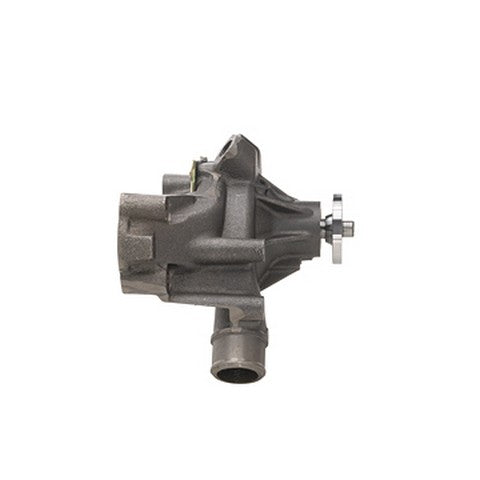 Engine Water Pump Dayco DP1011