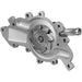 Engine Water Pump Dayco DP1024