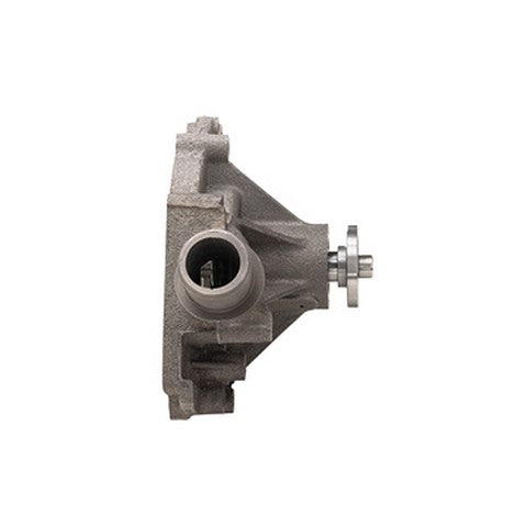 Engine Water Pump Dayco DP1031