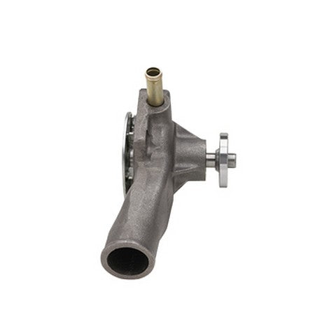 Engine Water Pump Dayco DP1032
