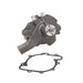 Engine Water Pump Dayco DP1071